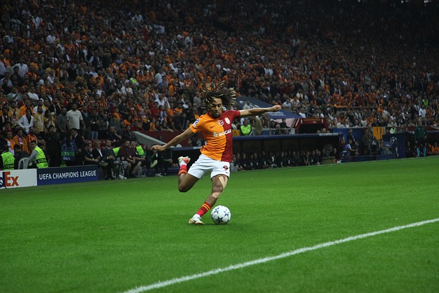 淋漓尽致 淋漓尽致