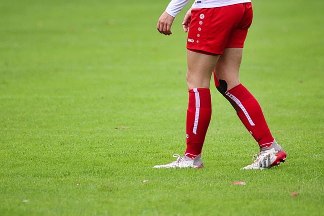 一颗冉冉升 一颗冉冉升