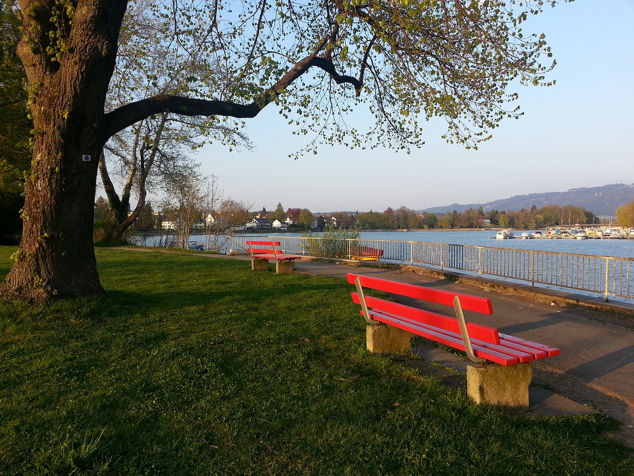 对桑托斯的 对桑托斯的